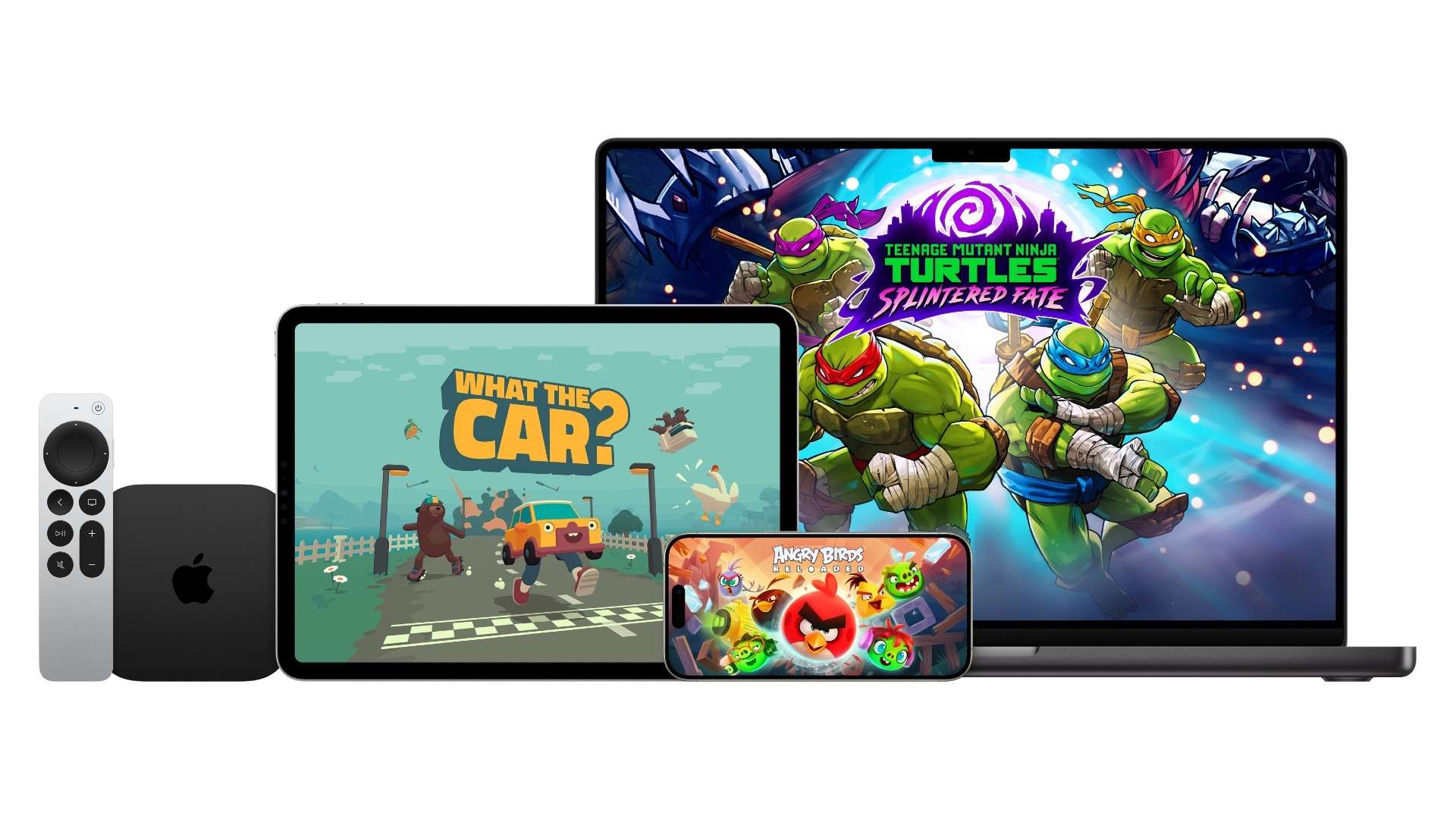 毛球的未来 毛球的未来